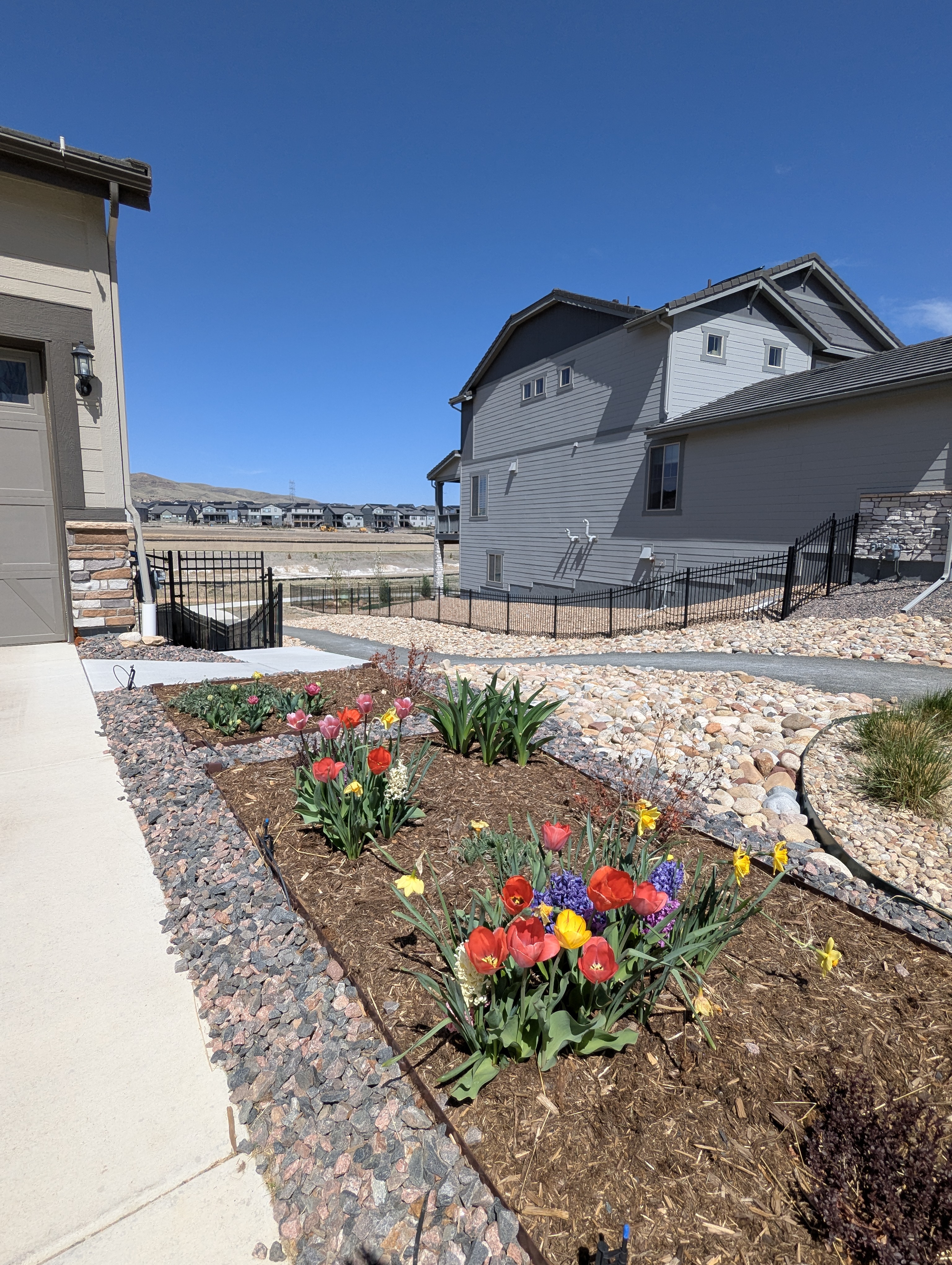 Garden, Flowers, Morrison, Colorado